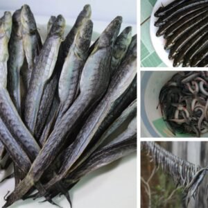 Alternative view of Khô Cá Kèo - GOBY FISH 500gr