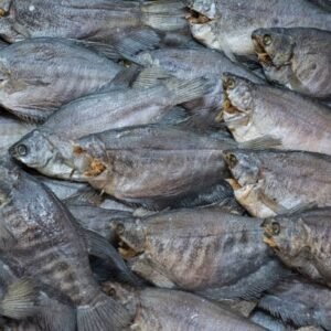 Khô cá sặc bổi - SNAKESKIN GOURAMI 500gr