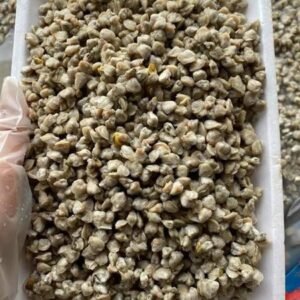 Ruột Hến - CLAM MEAT 500gr