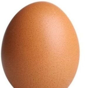 Egg