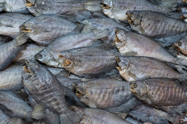 Khô cá sặc bổi - SNAKESKIN GOURAMI 500gr