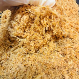 Alternative view of CHÀ BÔNG - PORK FLOSS 300gr