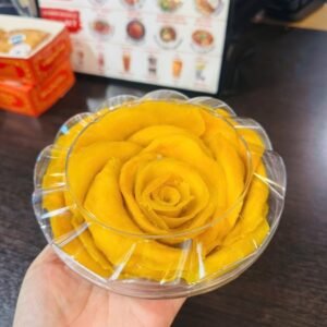 Xoài sấy dẻo - DRIED MANGO