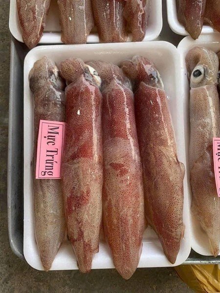 Mực Trứng nháy - SQUID WITH ROE 500gr