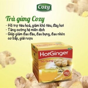 GINGER TEA – TRÀ GỪNG